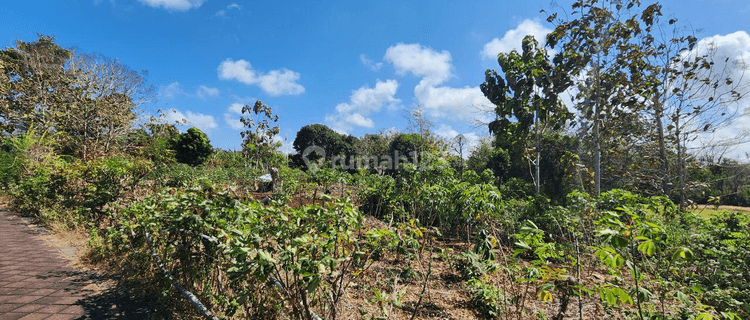 Tanah Global di Kutuh Dekat Pantai Green Bowl, Nusa Dua 1