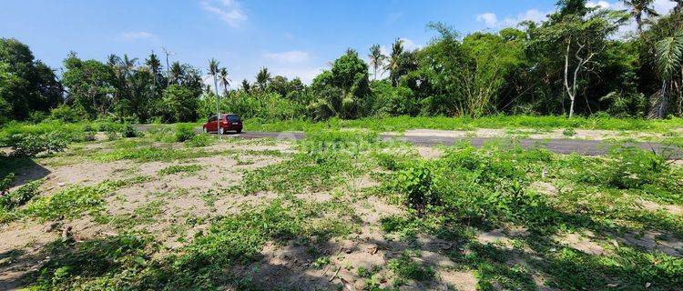 Plot of Land in Gianyar Near Saba Beach 1