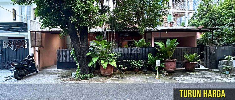 Rumah Tua Kebayoran baru Turun Harga 1