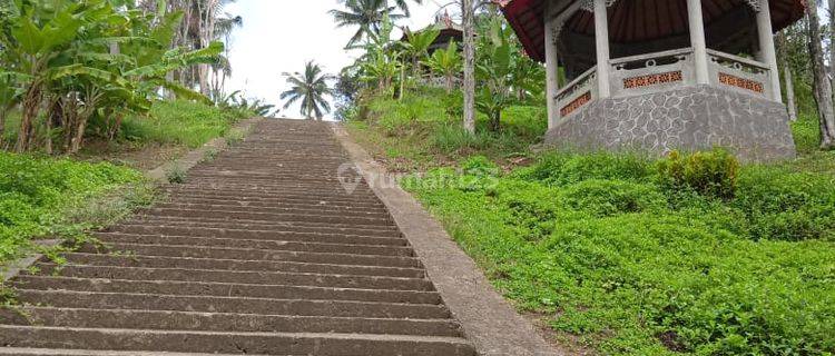 Tanah Luas+kebun Cengkeh Durian Strategis di Negare Tabanan Bali 1