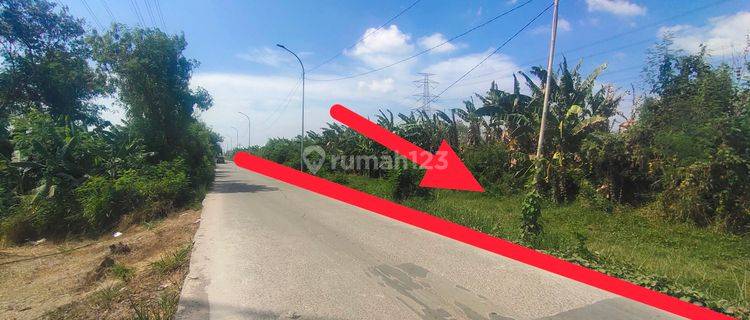 Dijual Tanah Cocok Bangun Perumahan,Di Sukamekar,Kec Sukawangi,Kab.Bekasi 1