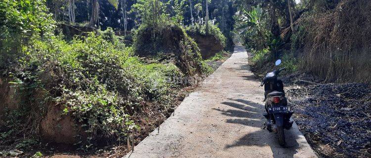 Tanah Murah Lur Dijual Tanah Di Tajinan Dekat Pemukiman Warga 1