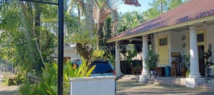 Di jual penginapan aktif ,batu karas , pangandaran 1