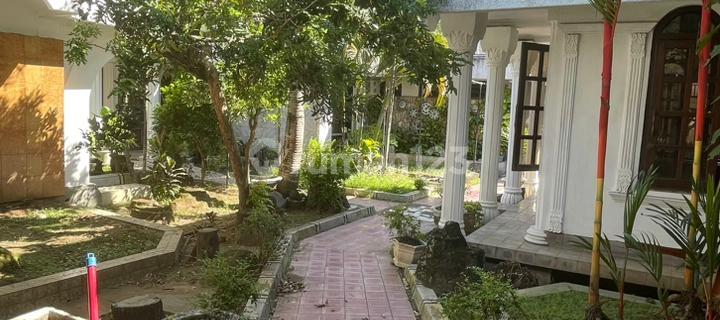 Rumah Disewakan di Kudus Jawa Tenga Cocok untuk Usaha 1