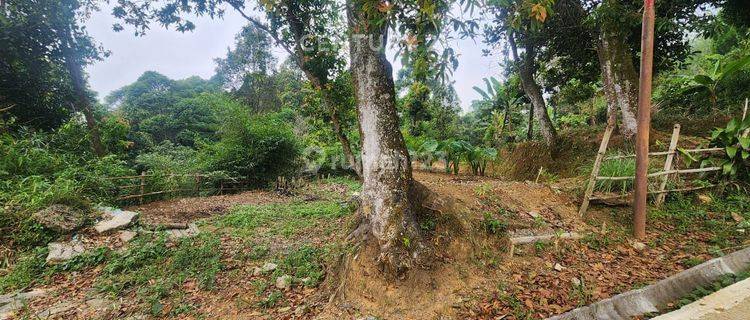 Tanah View Gunung Salak Di Jl Manggis Tajur Halang Bogor 1