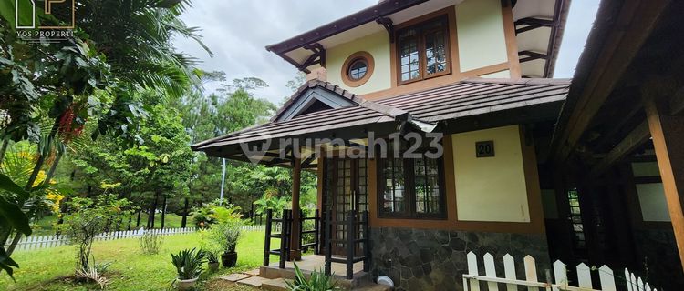 A Hook House in Japanese Cherry Blossom Style with a Very Spacious Yard 1