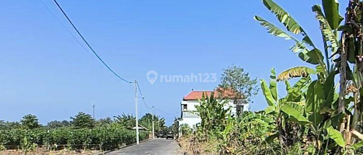 CHEAP LAND NEAR TABANAN BEACH SUITABLE FOR VILLA & RESIDENTIAL 1