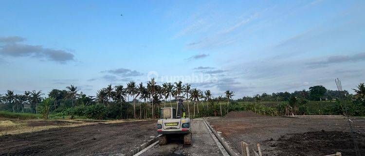 LAND PLOT WITH RICE FIELD VIEW STRATEGIC LOCATION IN TABANAN 1