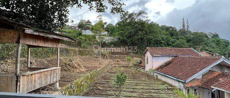 Tanah Sukamaju Ciwidey Kab Bandung Lokasi Wisata 1