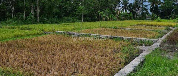 Tanah Kavling Murah Sekitar Uii Tanah Kavling Murah Sleman 1