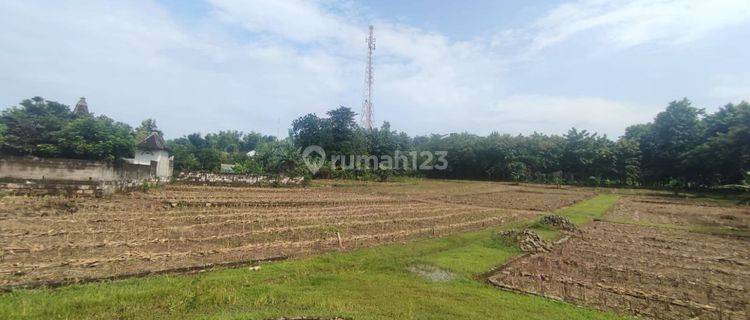 Tanah di Ds. Drada, Lamongan SHM 7.409 m² 1