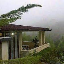 Villa Cantik 5 Bungalow Banyak Fasilitas Di Puncak Cisarua 1