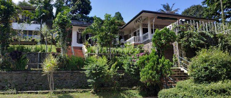 Villa Asri 2 Lantai Taman Luas Dekat Jalan Raya Puncak Bogor 1