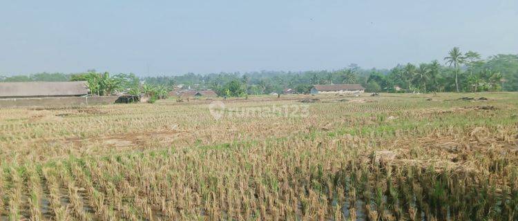 Di Jual Cepat Tanah Strategis Pinggir Jalan Proklamasi Sukabumi 1