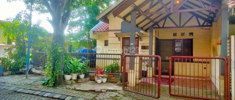 Rumah Butuh Cepat Laku Puri Surya Jaya Gedangan Sidoarjo  1