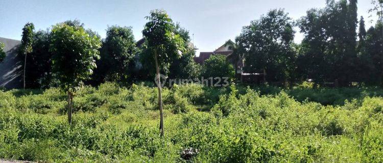 Dijual Cepat Tanah Di Panjahitan Madiun Bu 1