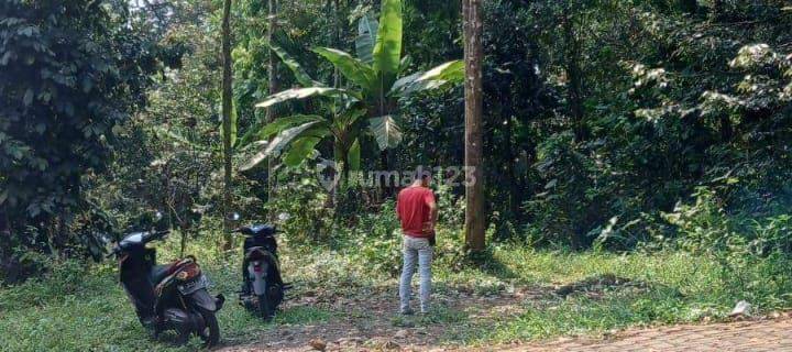 Tanah Kebun Durian SHM 1300m² akses jalan mobil 1