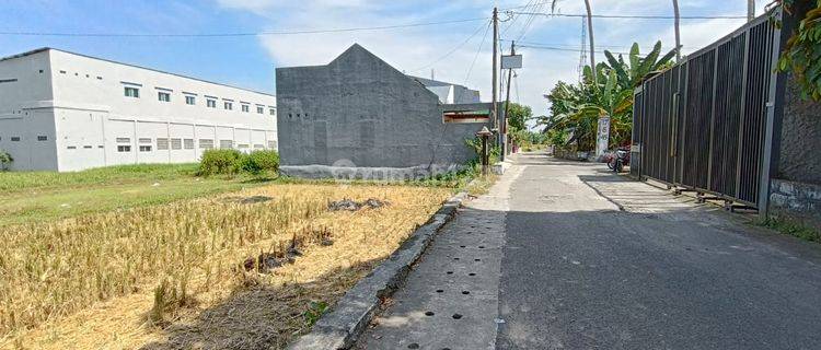 Tanah Jogja Dijual Dekat Cebongan, Jalan Purbaya 1