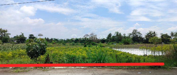 Jual Tanah Sleman Barat, Luas 427 M2, Lokasi Kebon Agung 1