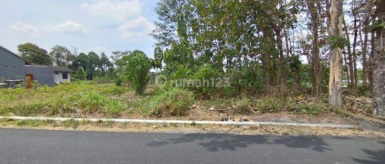 Jual Tanah Sleman Mangku Jalan Aspal Dekat Denggung 1