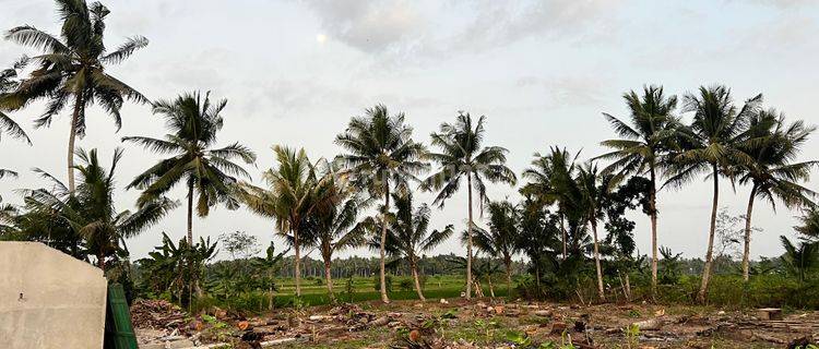 Jual Tanah dengan View Sawah, SHM Pekarangan 1