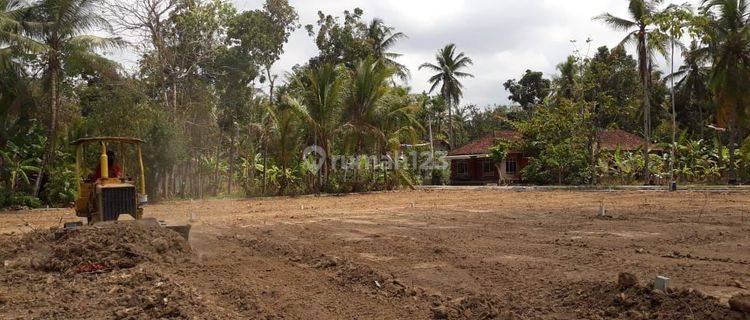 Dijual Tanah Murah Kulon Progo, Harga 950rb 1