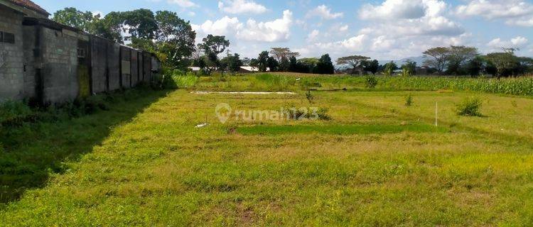 Tanah Kemudo, Prambanan: Cocok untuk Hunian dan Bisnis 1