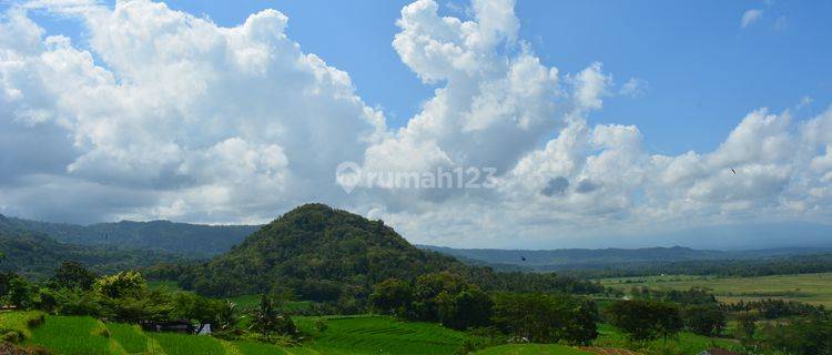 Tanah Menoreh Lahan Datar, Cocok Villa : SHM, Siap AJB 1