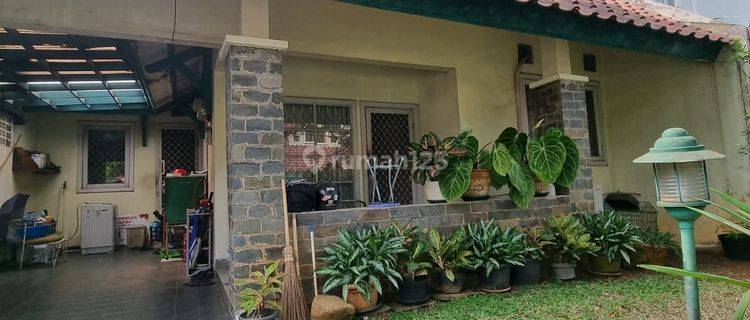 Rumah Butuh Renovasi Di Anggrek Loka 1