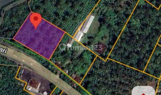 Kavling Pinggir Jalan Utama Denpasar-gilimanuk Km 66, Kota Denasar  1