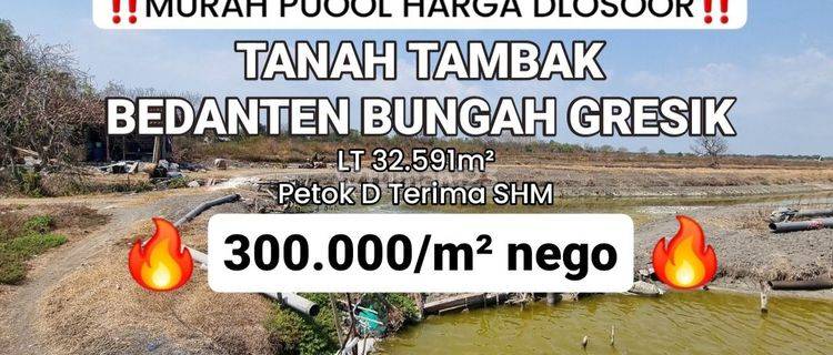 Tanah Tambak Kelurahan Bedanten Kecamatan Bungah Gresik [579]
 1