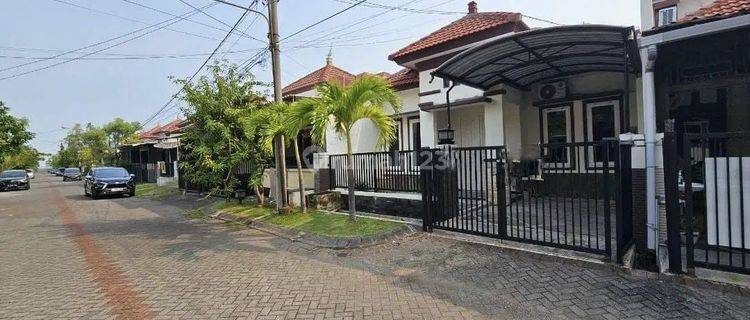 MURAH Rumah 1 Lantai Minimalis Pondok Tjandra cluster Melon 1