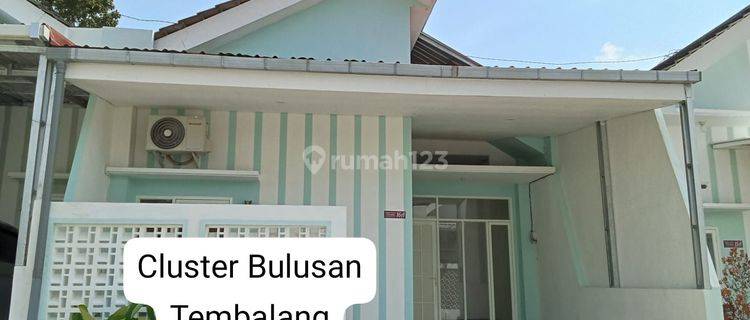 Disewakan Rumah Bagus Minimalis Bulusan Tembalang (dekat UNDIP)
 1