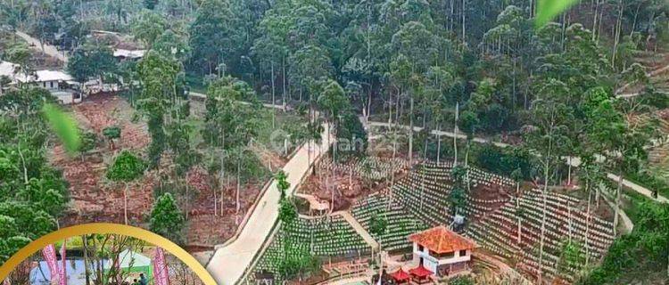 Kavling Vila dan Wisata Kebun Strawbery Ciwidey Bandung  1