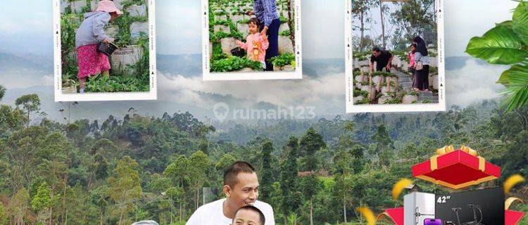 Kavling Wisata Kebun Strawbery di Ciwidey Bandung Bisa Buat Vila 1