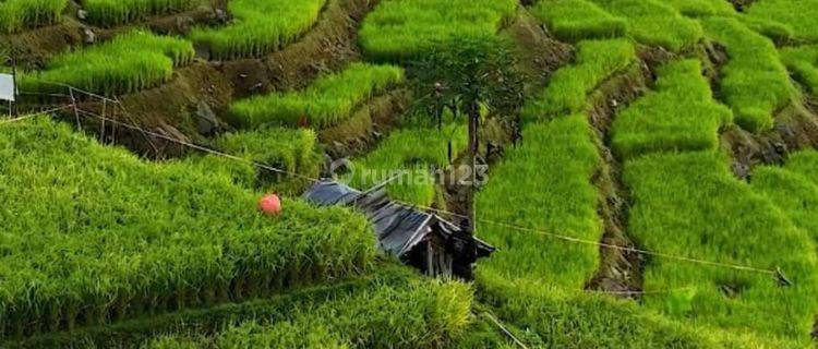 Tanah Kavling Ekslusif Pinggir Pantai Jembrana Bali 1