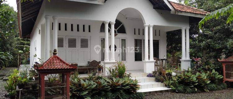 Rumah Bagus Semi Furnished SHM di Ciomas Bogor Jawa Barat, Bogor 1