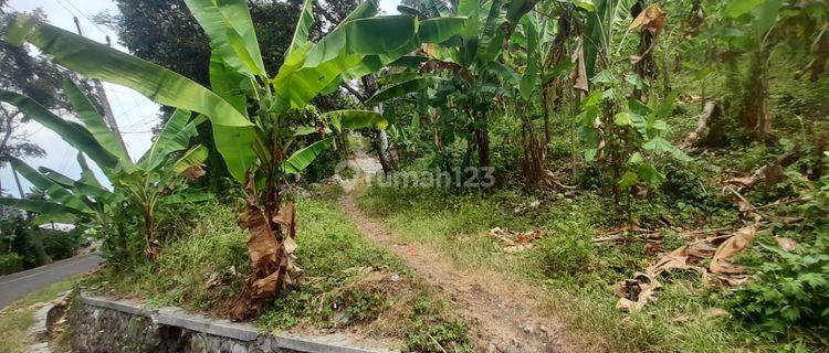 Dijual Tanah 1 Hectare di Cisolok Sukabumi  1