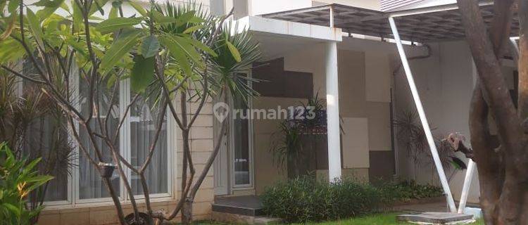 Rumah Bagus Graha Padma ,cluster Exklusif 1