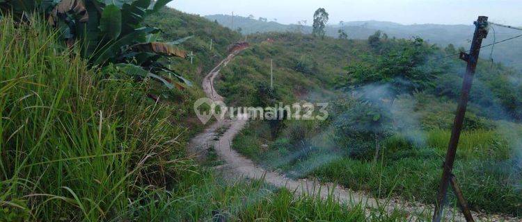 Tanah Dan Kebun 128.000m2 di Sukanagara, Gunung Sari, Cianjur 1