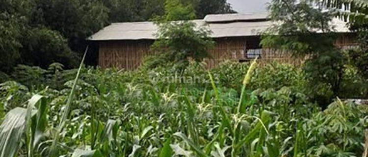 Tanah Luas Strategis Ada Kandang Ayam Nyalindung Sukabumi 1