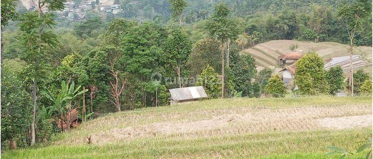 Tanah Murah Cocok Untuk Perkebunan Atau Wisata Di Soreang  1