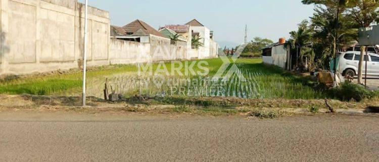 Tanah SHM 3.495 m² Siap Bangun di Ponorogo 1