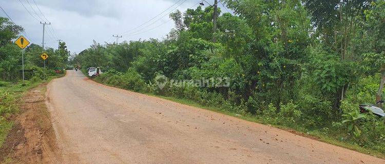 DIJUAL TANAH KAPLING COCOK UNTUK PERUMAHAN SUBSIDI LOKASI DI MONCONGLOE MAROS 1