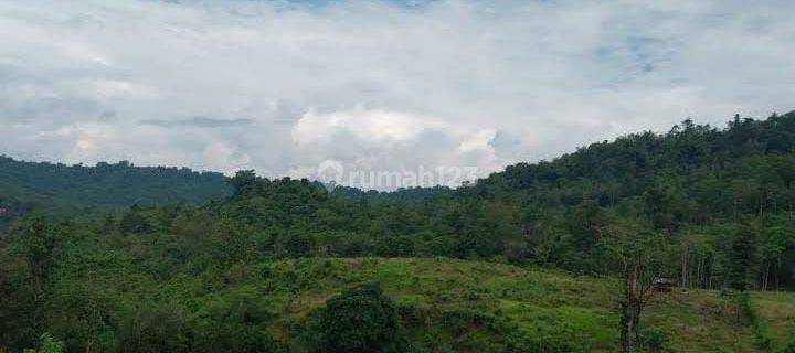 DIJUAL VILLA + KEBUN SELUAS 28 HEKTAR DI PUCAK MAROS 1