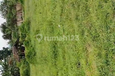 Dijual Lahan Tanah Kosong Strategis di Cibodas Lembang, View Gunung Tangkuban Perahu, Akses masuk 2 mobil 1