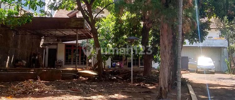 House with a spacious yard, suitable for business. 1