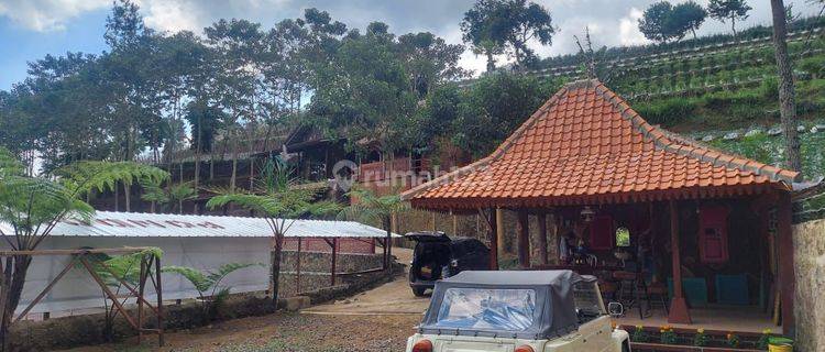 Villa Di Lembang Suntenjaya Dekat Maribaya Hot Spring  1