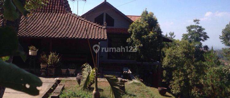 Rumah Bagus SHM di Padasuka, Bandung Lokasi Strategis 1