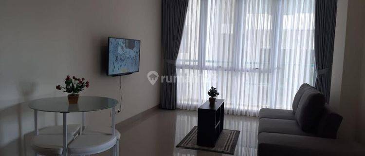 Apartement Condominium Pine Tree Furnished Bagus 1